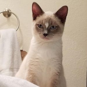 Meet your Posher, Claire